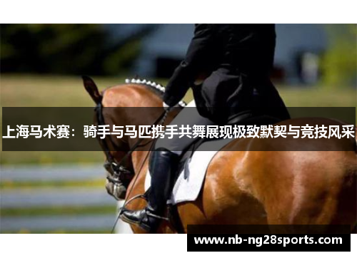 上海马术赛：骑手与马匹携手共舞展现极致默契与竞技风采