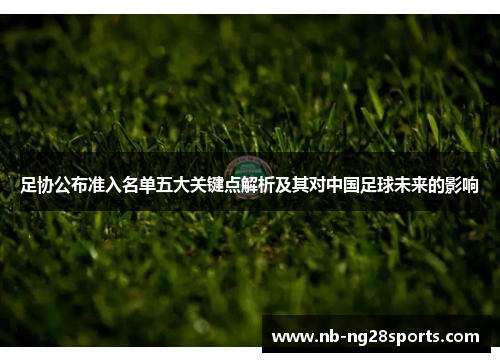 足协公布准入名单五大关键点解析及其对中国足球未来的影响