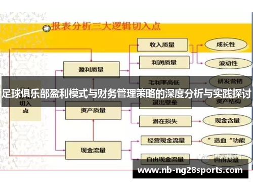 足球俱乐部盈利模式与财务管理策略的深度分析与实践探讨